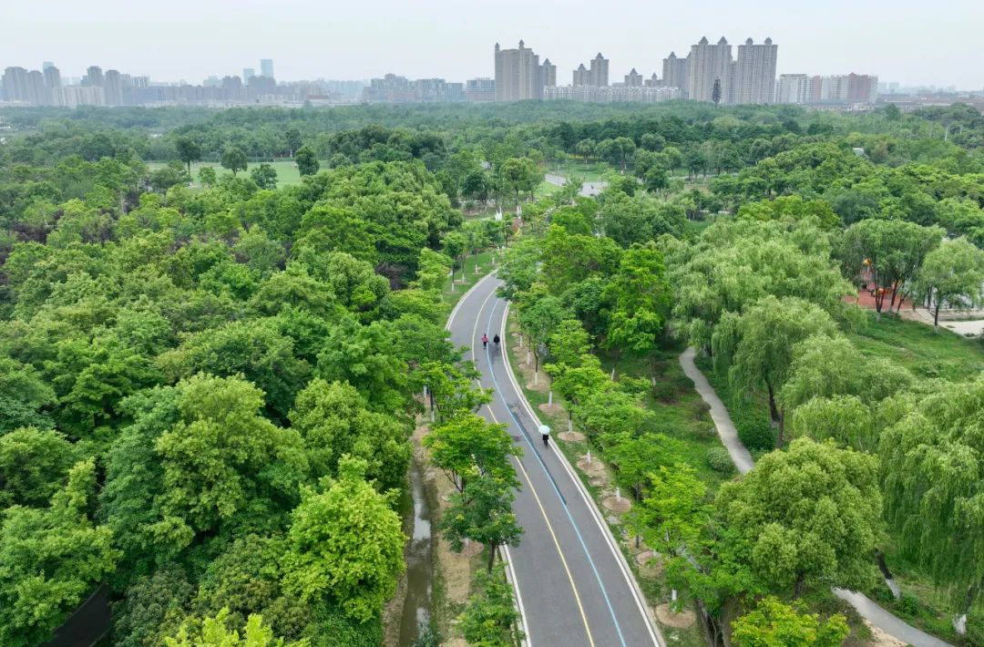 合肥改造提升老旧小区名单,合肥旧城改造最新方案