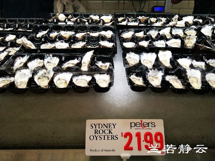 悉尼最大的海鲜鱼市场在哪里,海鲜市场澳洲龙虾