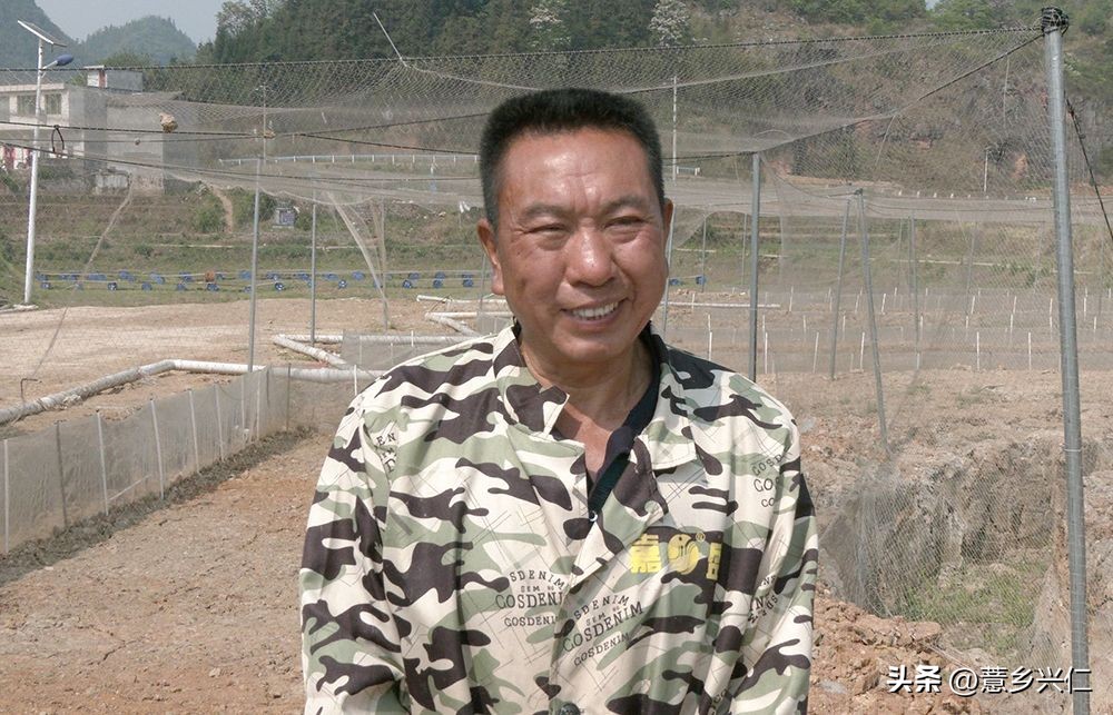 扶贫产业牛蛙养殖基地,牛蛙养殖扶贫项目