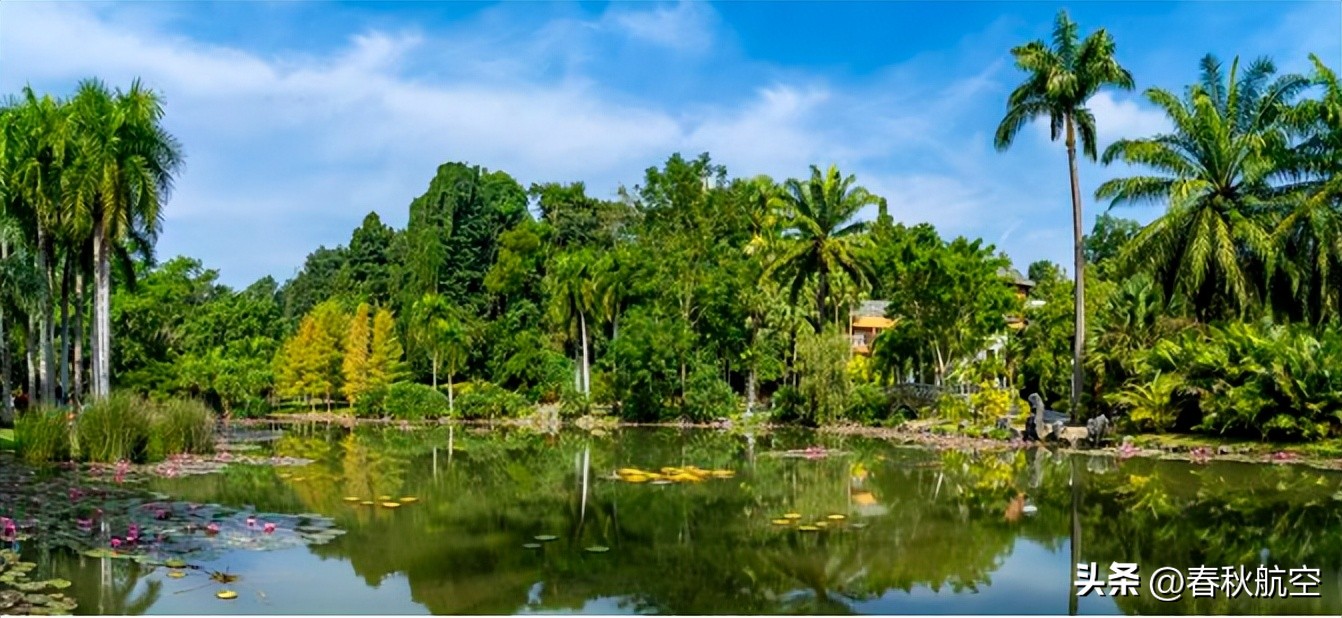 澳门旅游热门打卡点,澳门有什么最新通关消息7月