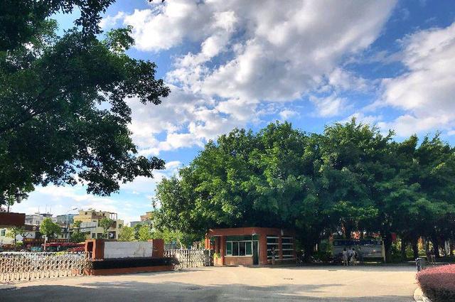 广州商学院联合广东财经大学，发力研究生培养