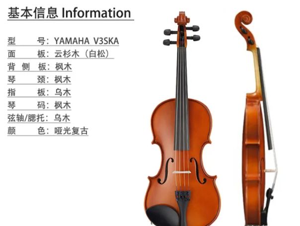 十大顶级小提琴,性价比高的小提琴推荐