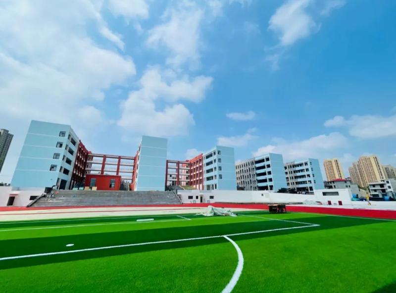 第五实验幼儿园最新视频,上师大附属第五实验幼儿园小学