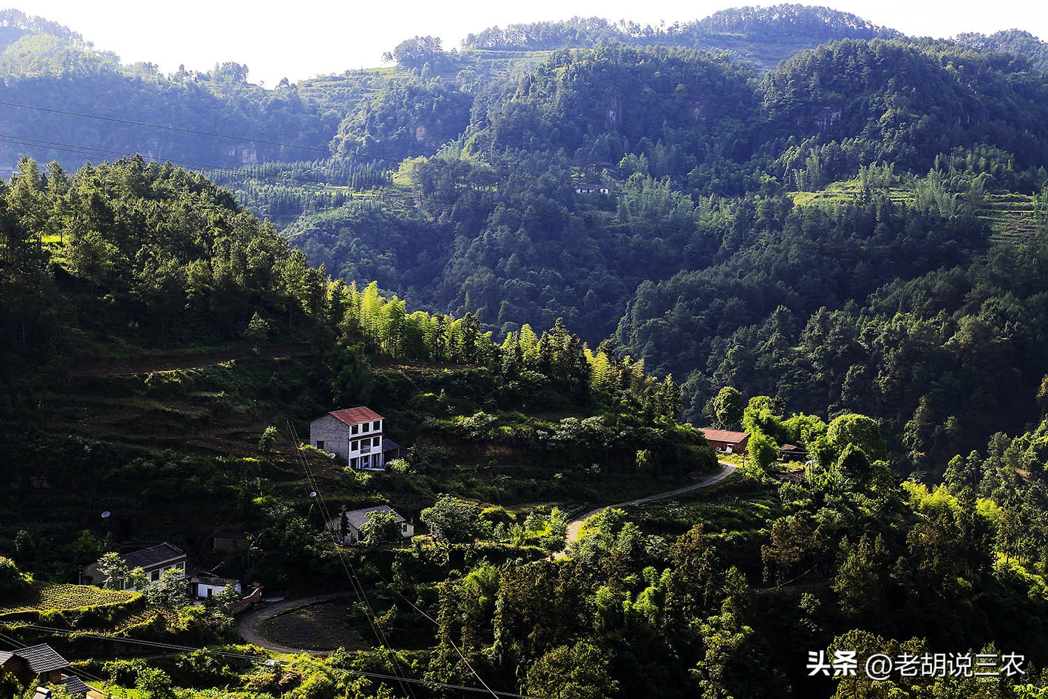 男子捡到一角纸币,男子在草丛发现纸币