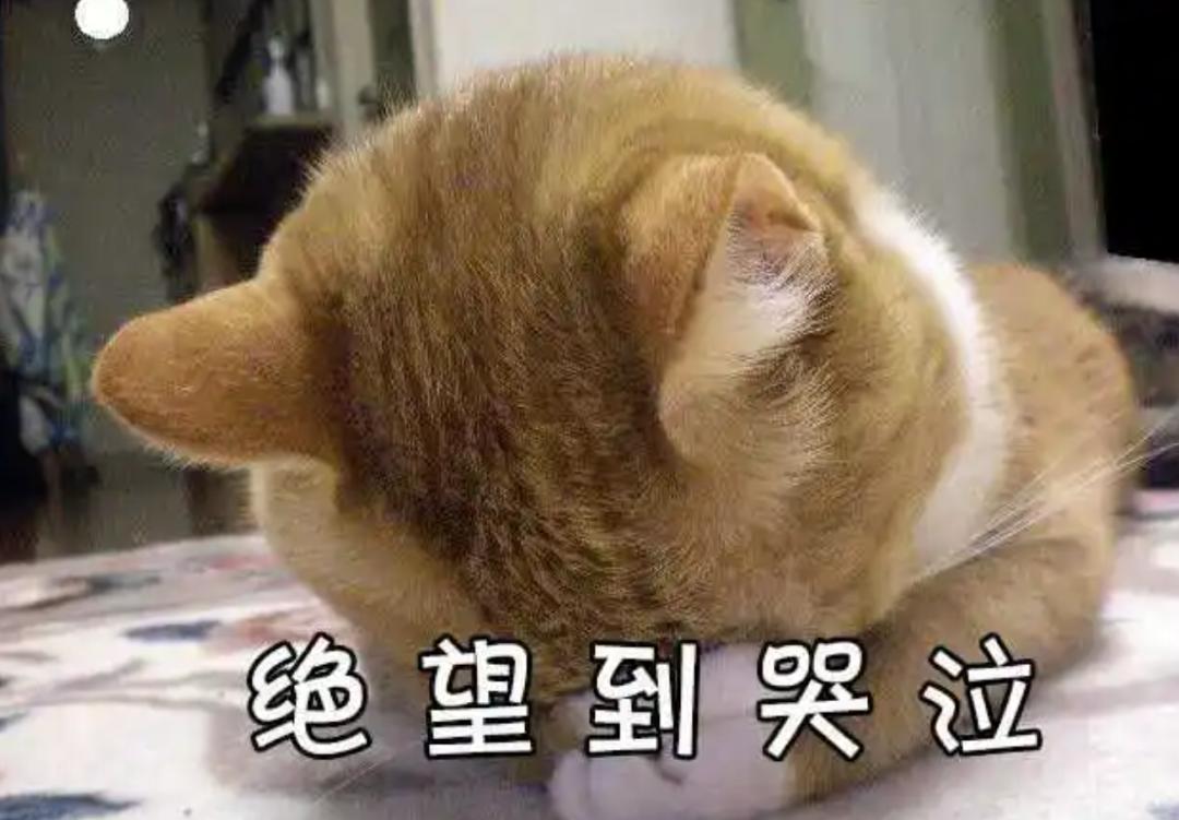 全省第二进北大光华，却说我是“小镇做题家”，“出身”重要吗？