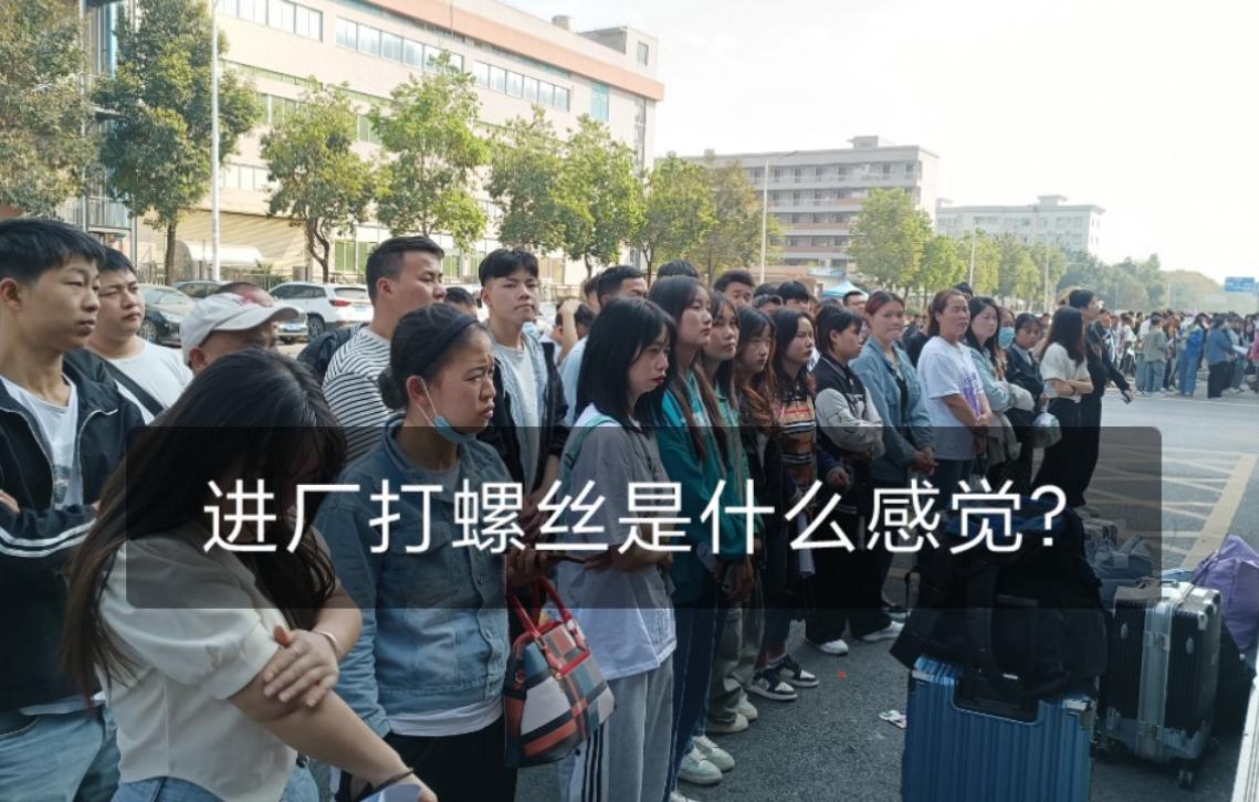 进厂打螺丝之后的感受和想法,关于进厂打螺丝那些事