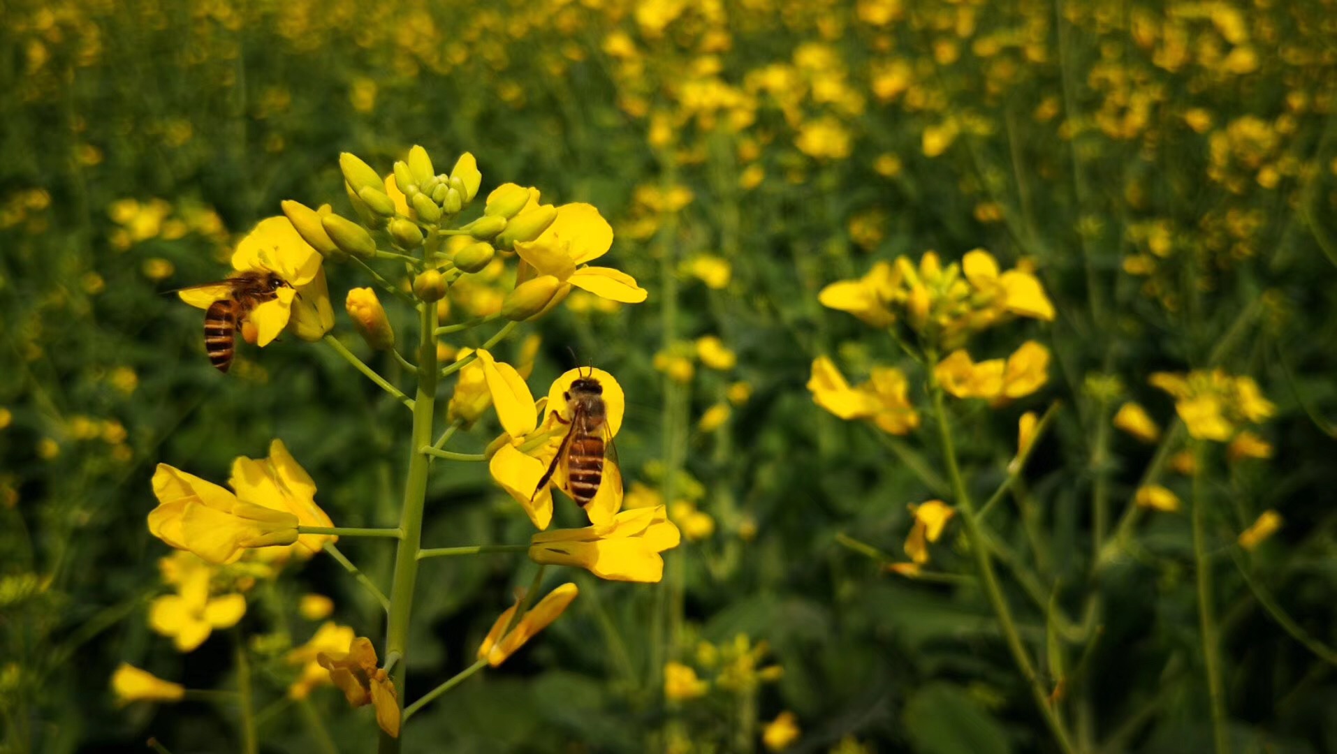 面对别人的拒绝总暗暗伤心,接受别人的好意有罪恶感