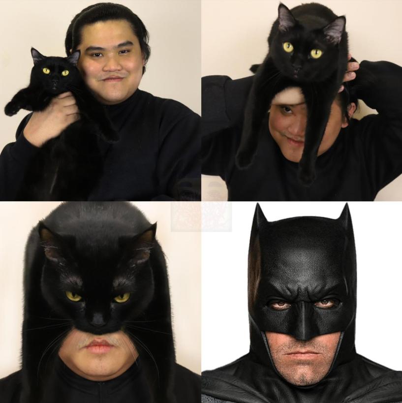 哈哈哈这些猫咪cospaly好怪，再看一眼，还是好怪