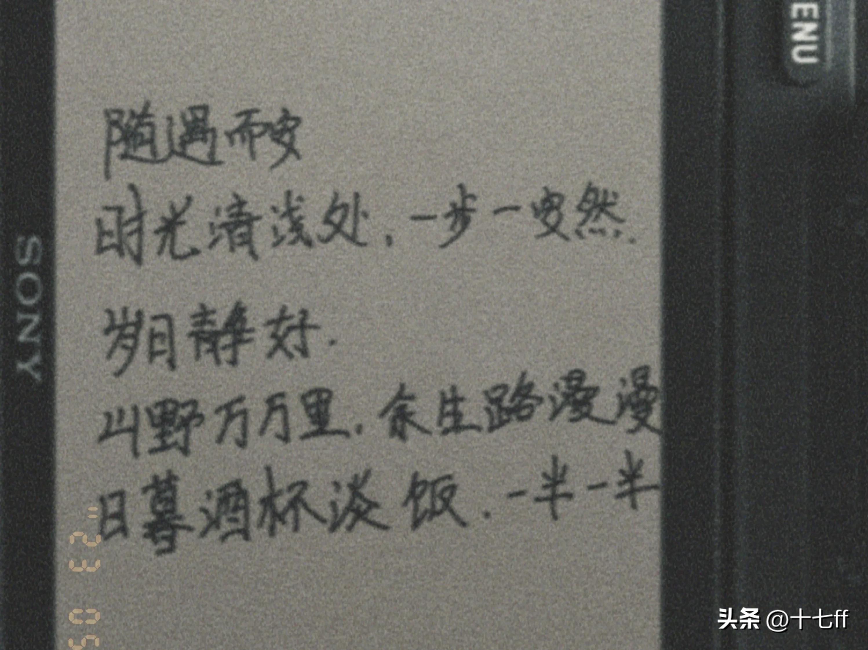 今日摘抄100句经典语录,今日摘抄手写