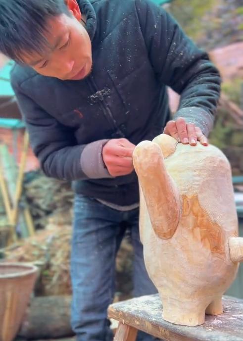 网红帅农鸟哥视频,黑马帅农鸟哥是如何走红的