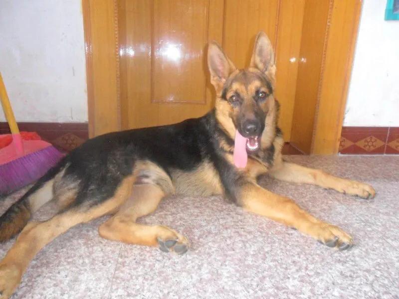 世上只有妈妈好爸爸也不错,世上只有妈妈好爸爸不好吗