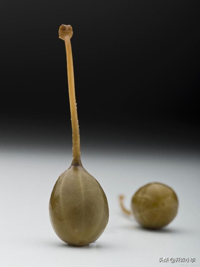 中山干槟榔果进口报关清关 (2023年越南槟榔清关)