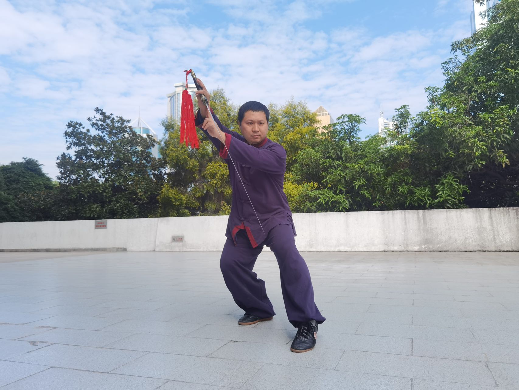 杨式太极·嫡系真传—张寅老师