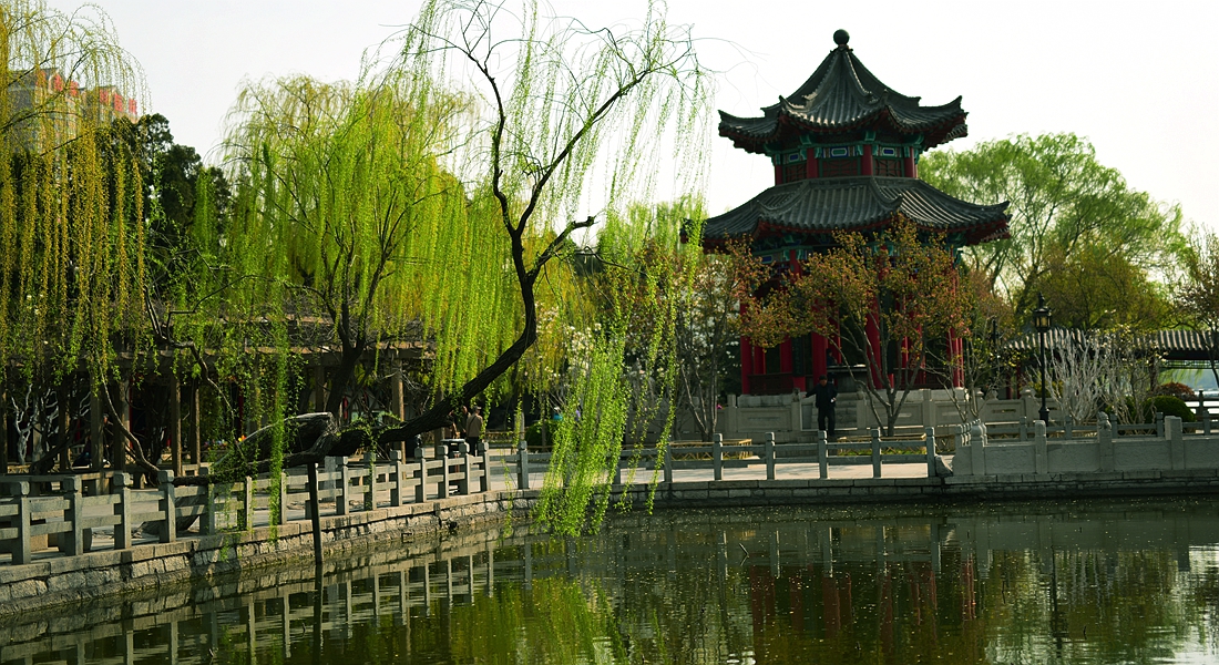 折柳寄情来自哪首古诗词,折柳寄深情