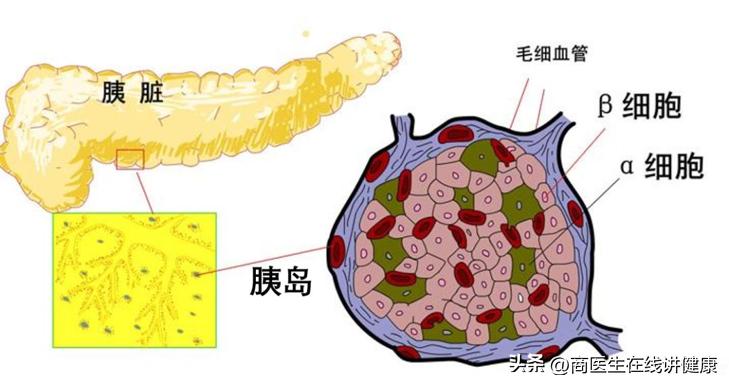 最新型的复方降糖药,中国首个降糖药物上市