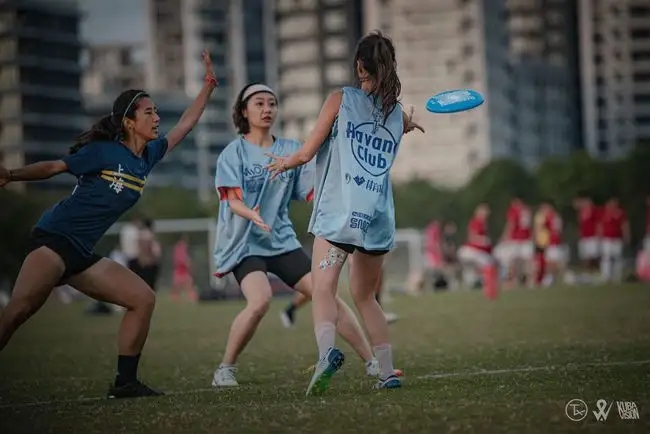 露营骑行飞盘,露营野炊飞盘