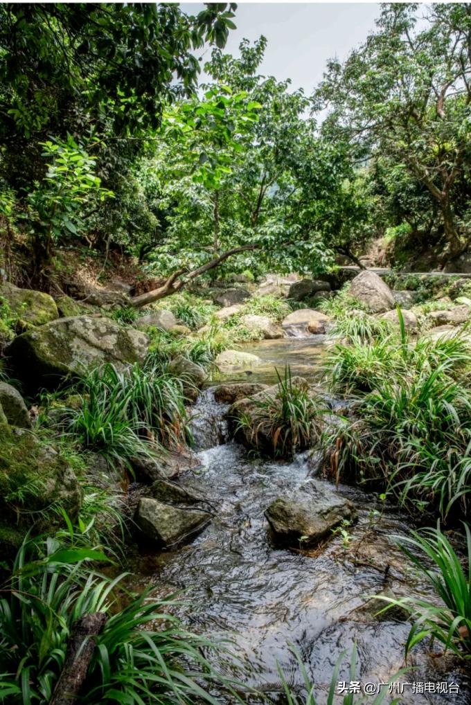 广州夏日避暑指南,广州夏日避暑胜地室内