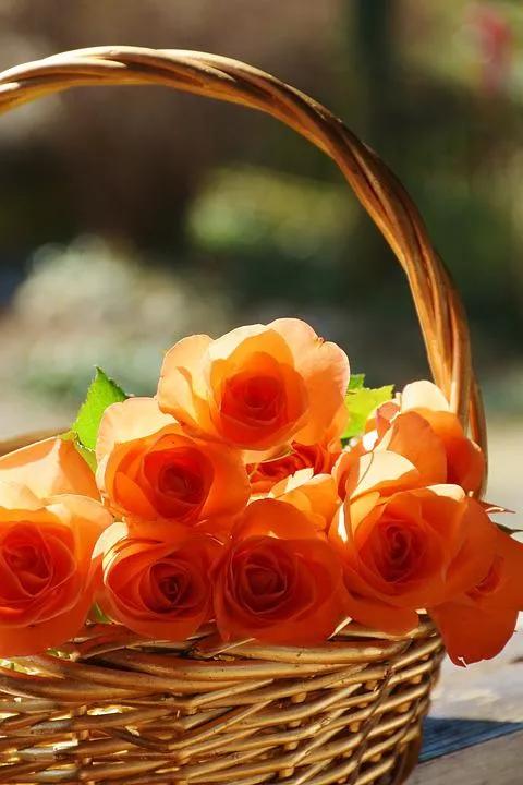 520适合发朋友圈的配图爱情,入目无别人四下皆是你英语