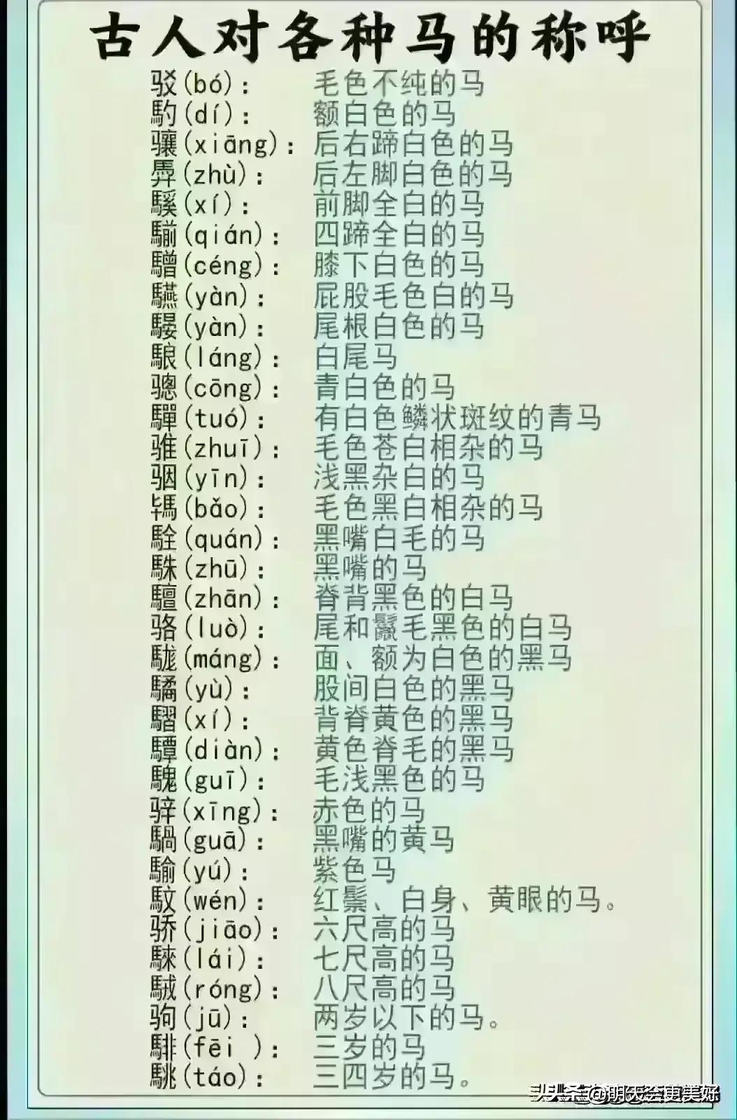 2024金价走势分析黄金还会降价吗,今日金价2024黄金价目表