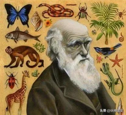 厄瓜多尔最值得去的地方,关于南美洲西北部的厄瓜多尔