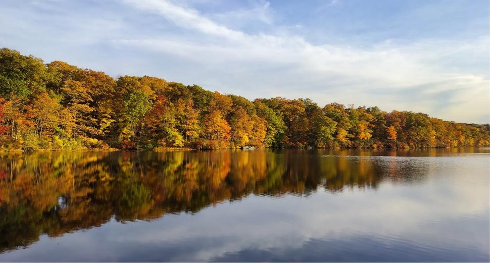 oppo手机1000元左右哪款值得购买,低价高配1000元以内的oppo手机