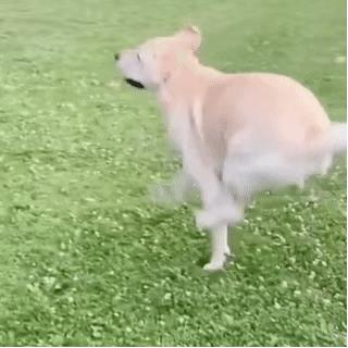 突破*载下**限制，轻*载下**APP软件体验