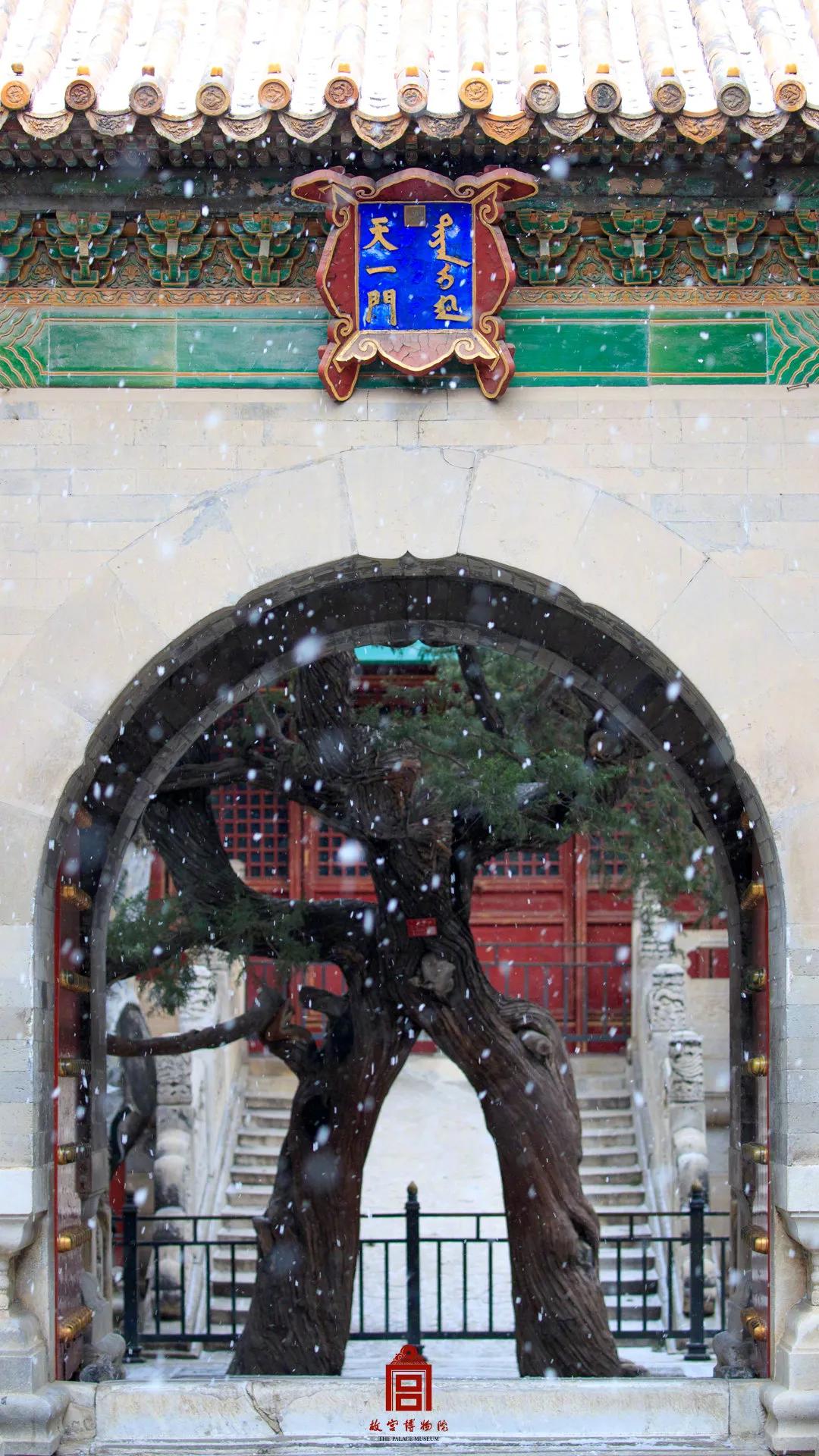 跨年文案2023最火古诗词,适合祝贺新年的优美的文案古诗词