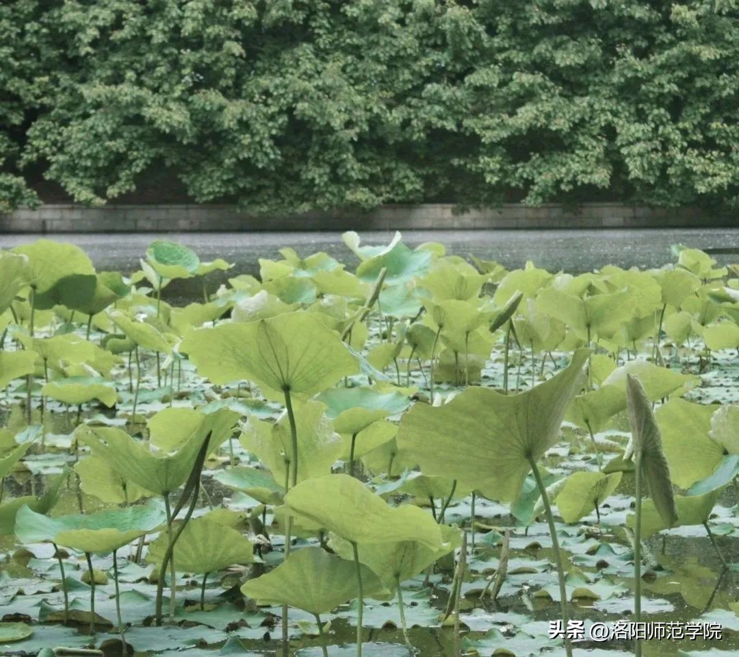 当洛师邂逅43种中国传统色……