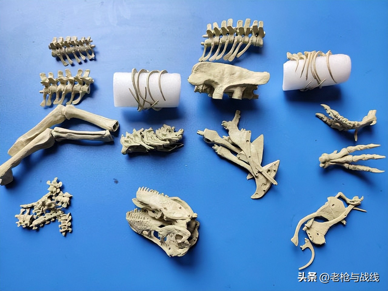 如何制作霸王龙骨架,用硬纸板做霸王龙骨架教程