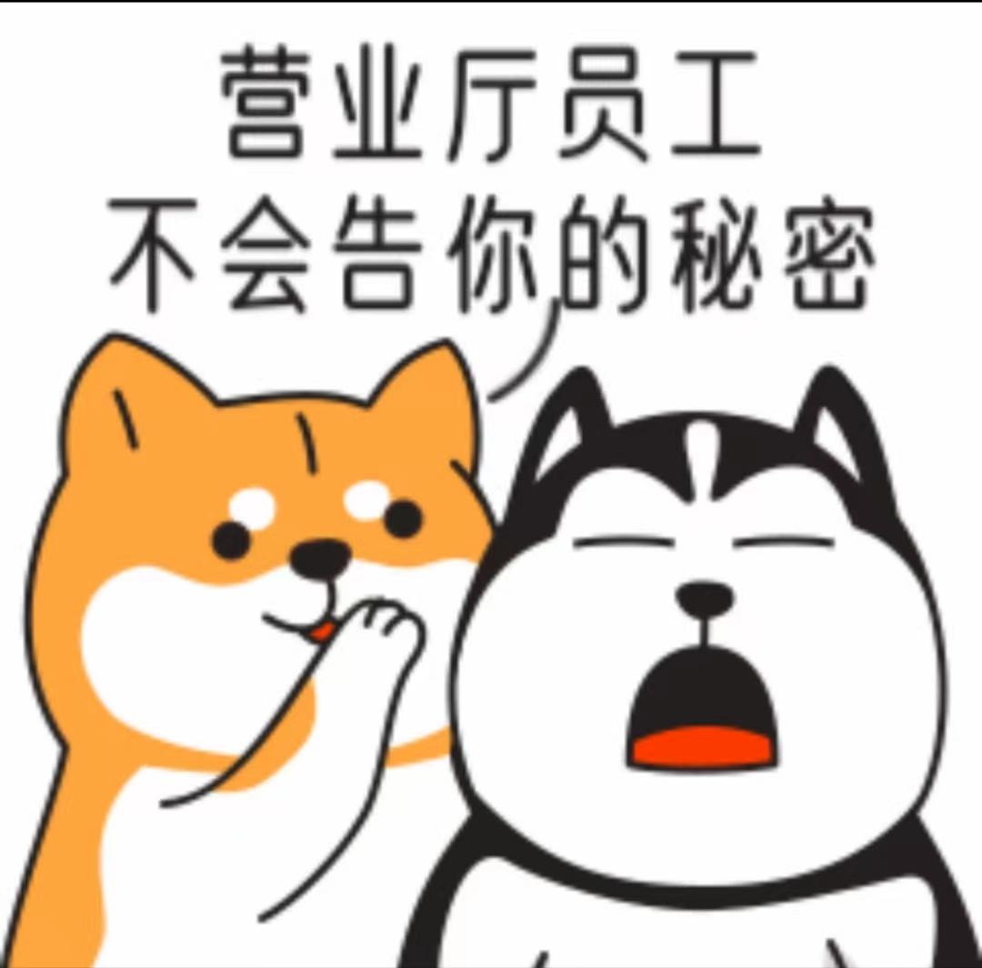 如何办理大流量卡流程,网上大流量卡都是怎么申请的