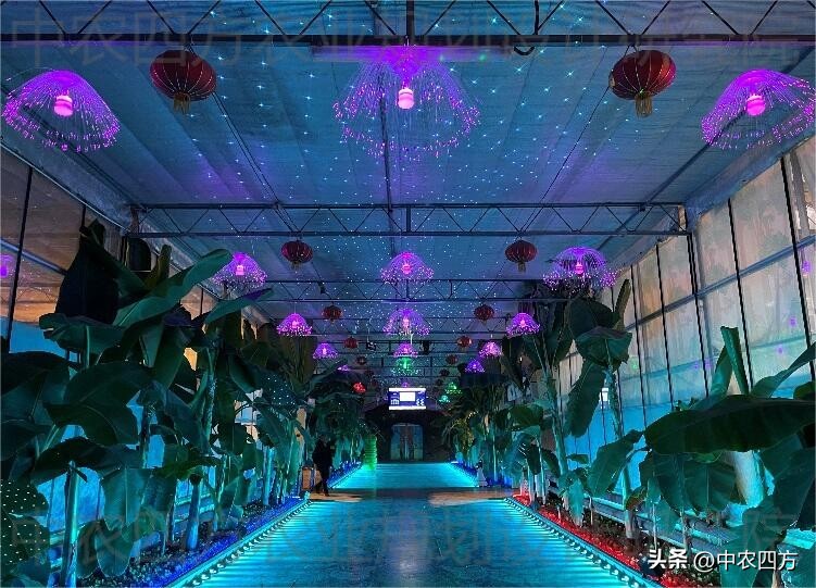 可持续农业新农业,智能农业推动农业可持续发展