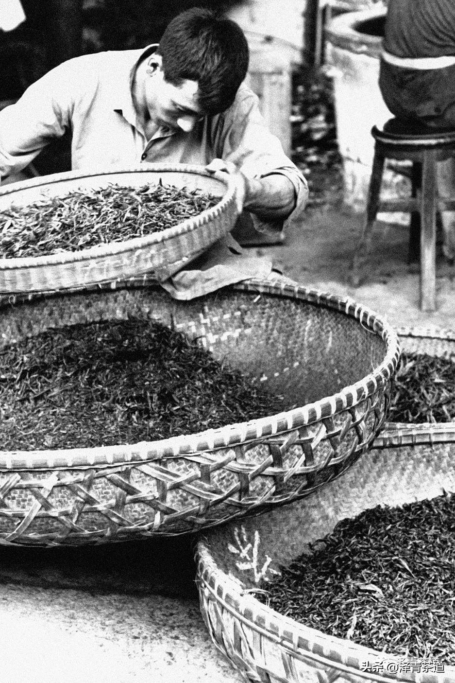 福建中国茶叶第一大省,中国茶叶排名第一省