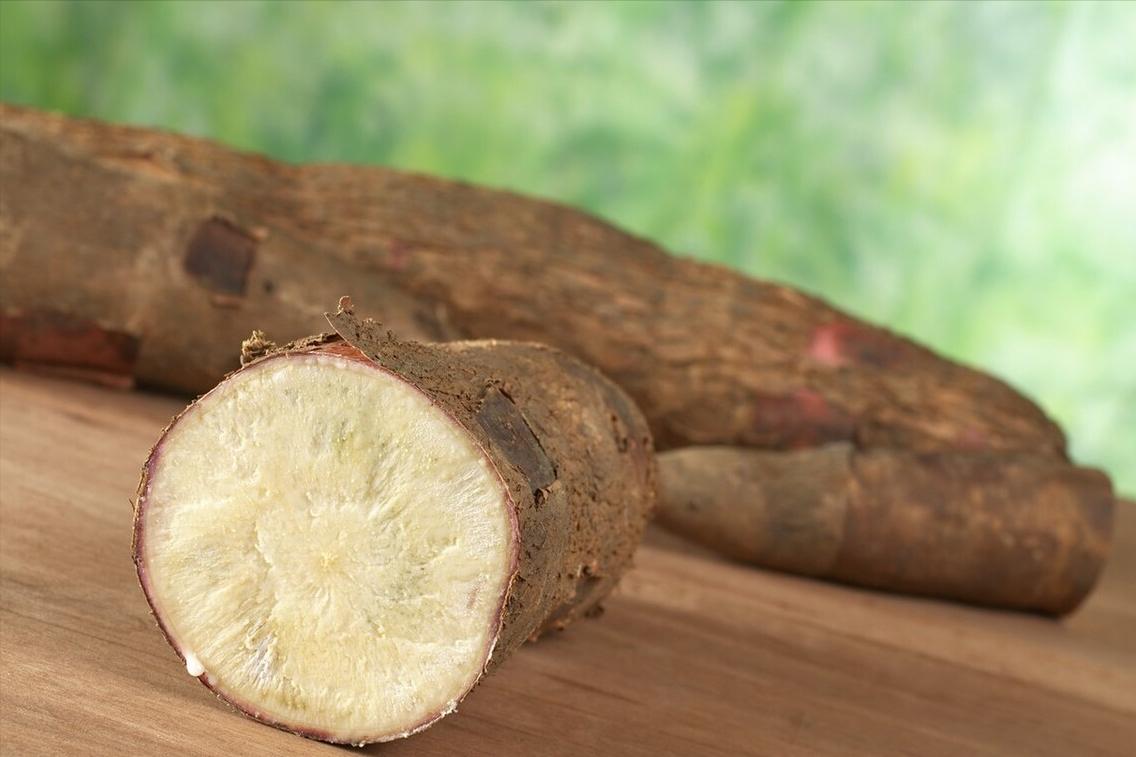 为什么说木薯有毒,所有木薯都是有毒的吗