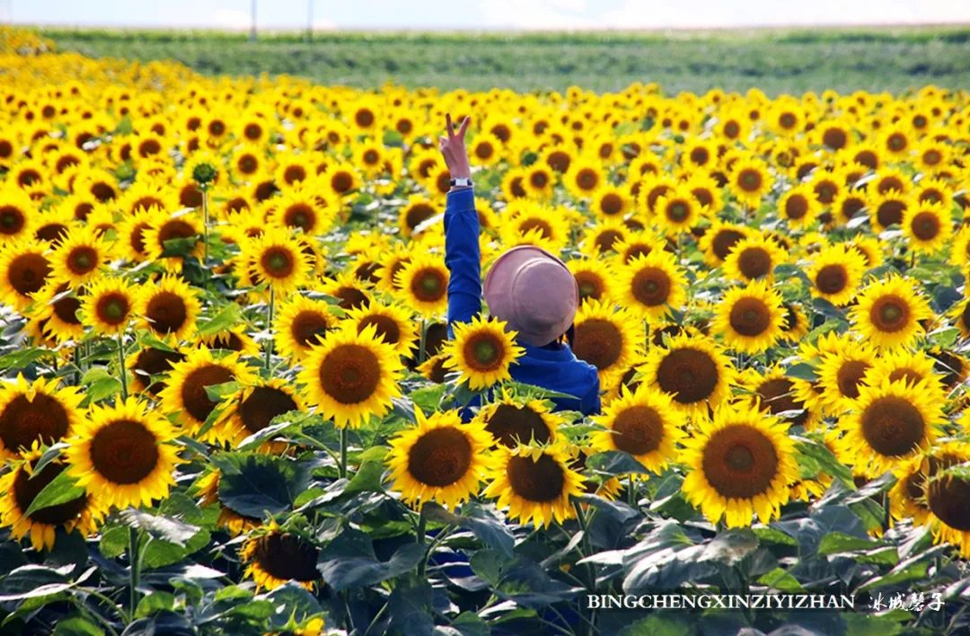 中俄边境线上的小城：逊克，披着“红珠绿边银装”的生态边城