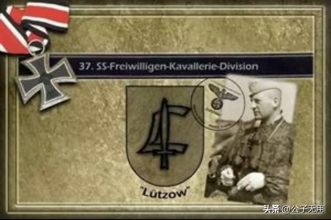 二战德国*党**卫军38个师：各师师徽标志，番号及编制简介（下篇）