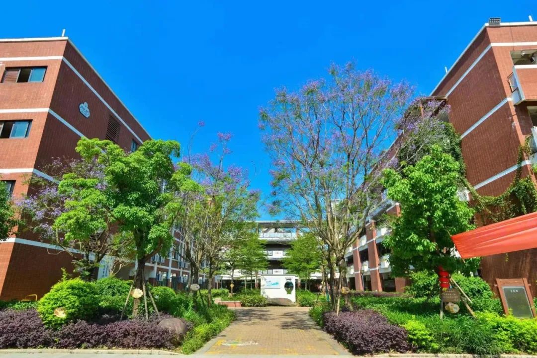 小学百万年薪招教师,福建福州教师兼职招聘