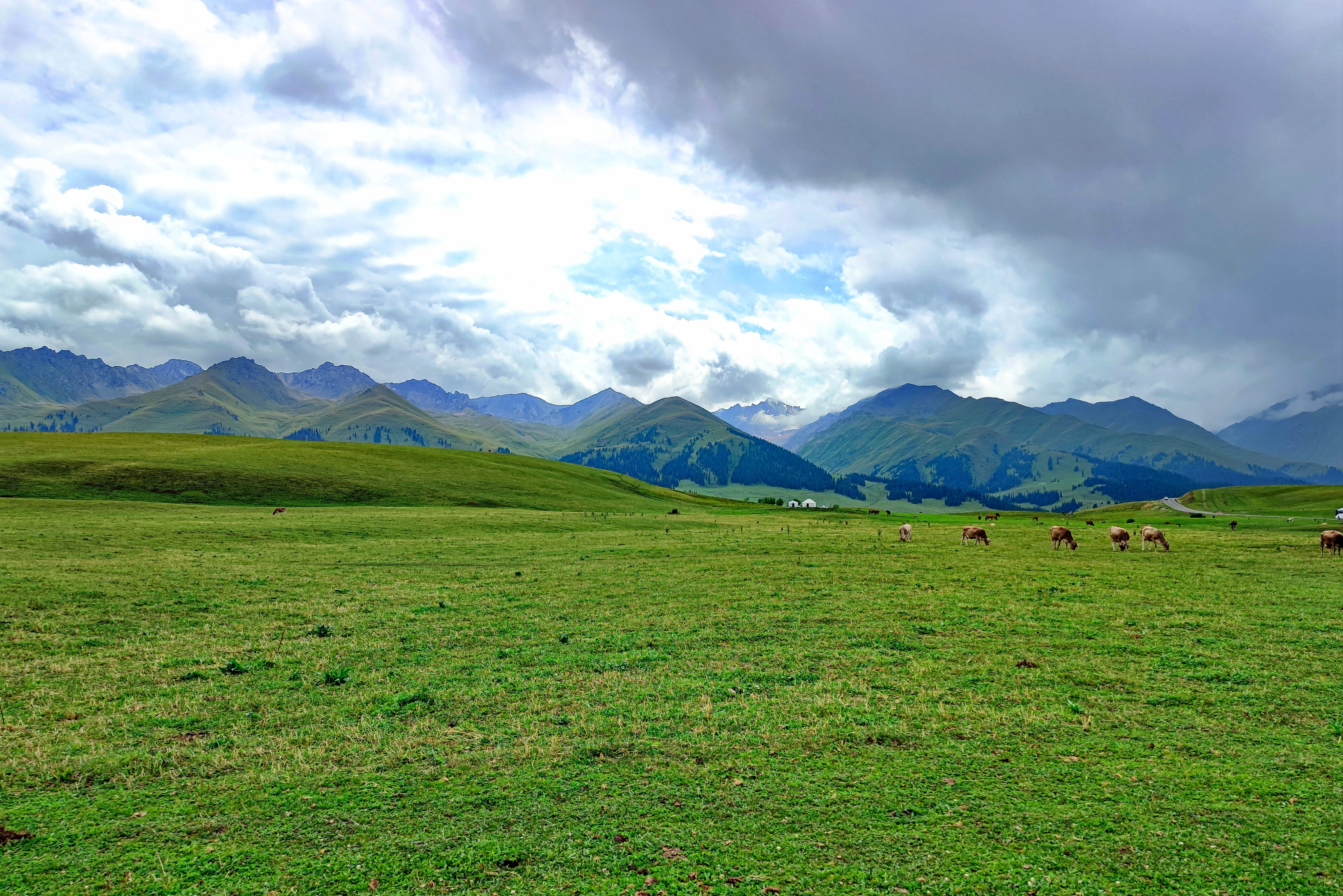 伊犁那拉提草原玩的有啥,伊犁那拉提草原是几级旅游景点