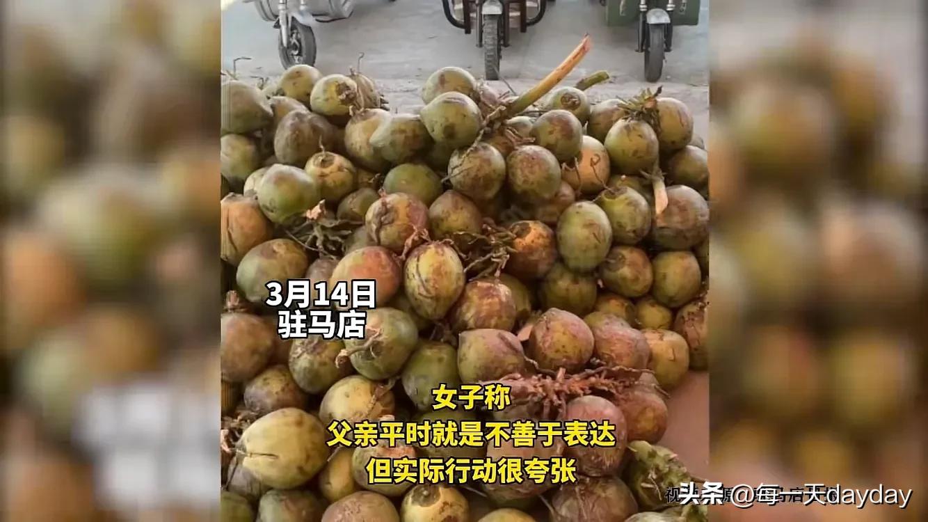 女子怀孕父亲买一车椰子,女子怀孕男子拿50万