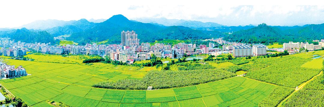 喜迎二十大丨东成镇：坚持*党**建引领走特色产业之路力促高质量发展