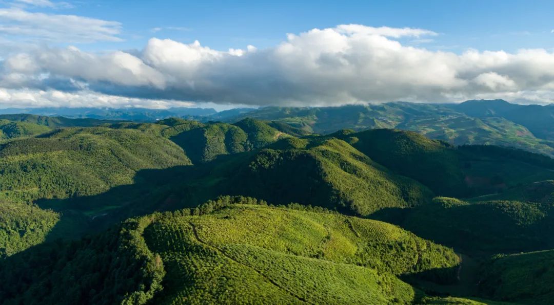 推动红河高质量跨越发展,奋力推动红河高质量跨越式发展