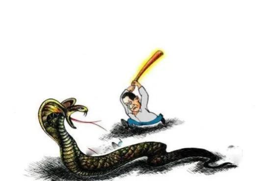 眼镜王蛇有多可怕,为什么眼镜王蛇敢攻击人