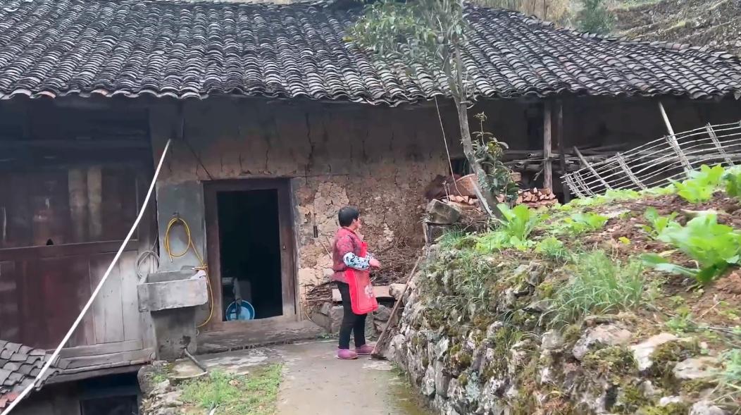 重庆天坑下的5户人家,重庆天坑底部住着5户人家