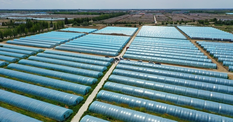 十师一八三团：网络直播助额河玉虾热卖