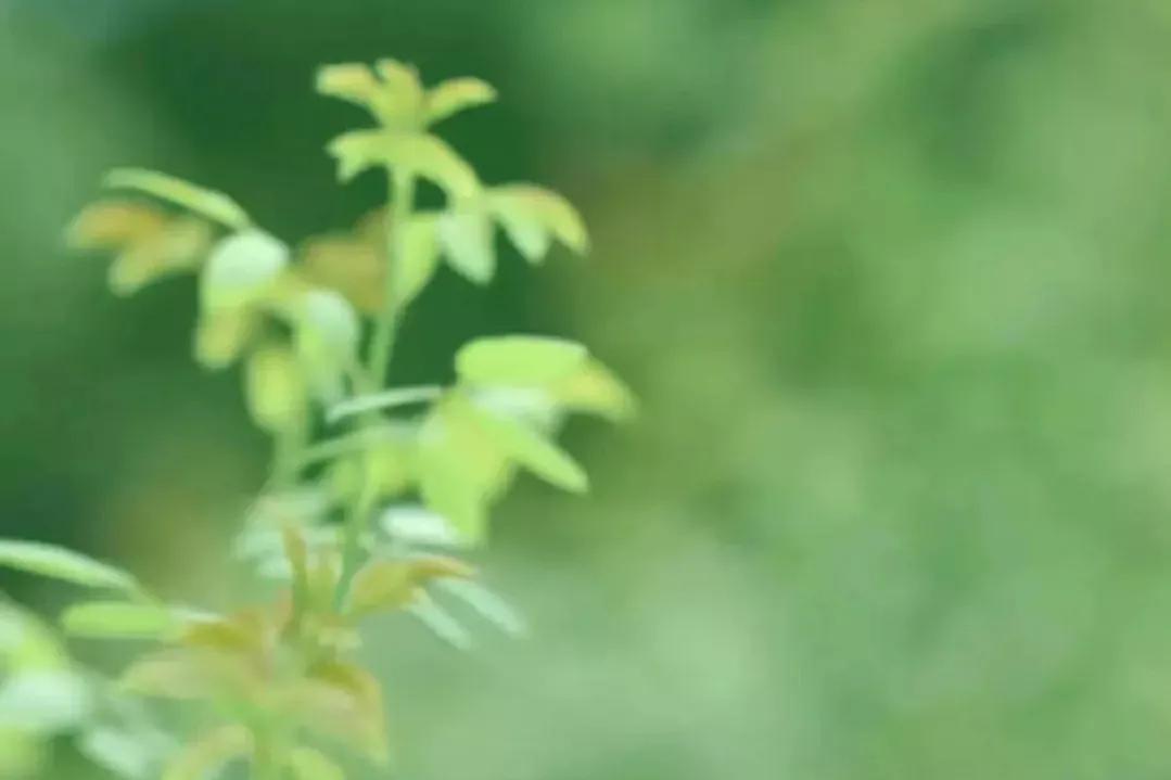 初次与客户见面第一印象特别重要,为什么第一印象十分重要