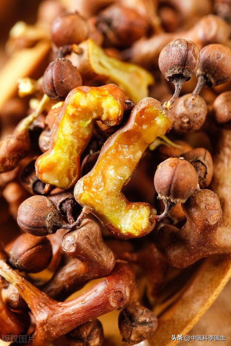 降血压、止咳嗽、防抽筋、治手抖,讲一个中药“扫地僧”—拐枣