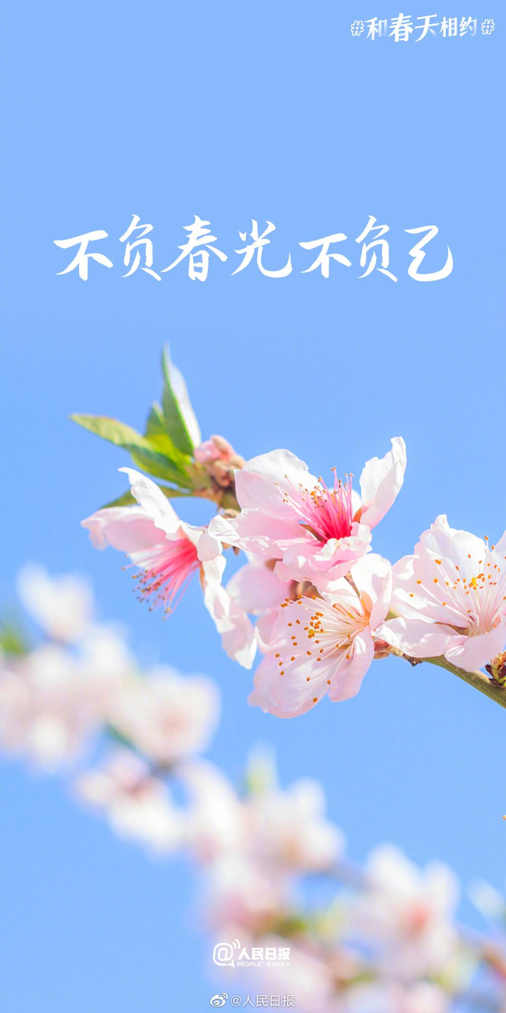 超级好看的春天壁纸高清,五张最适合你的春日壁纸