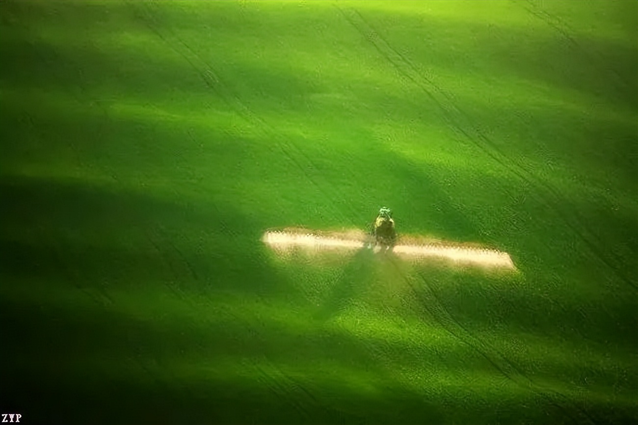 太美了美图欣赏,太美了世界级照片