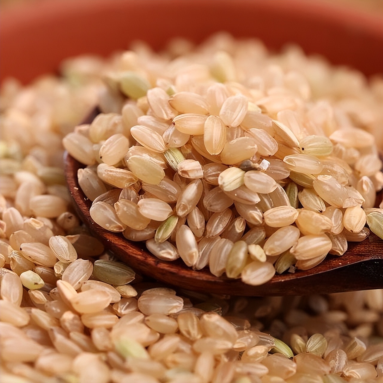 减肥十大粗粮主食,红薯南瓜玉米哪个当主食能减肥