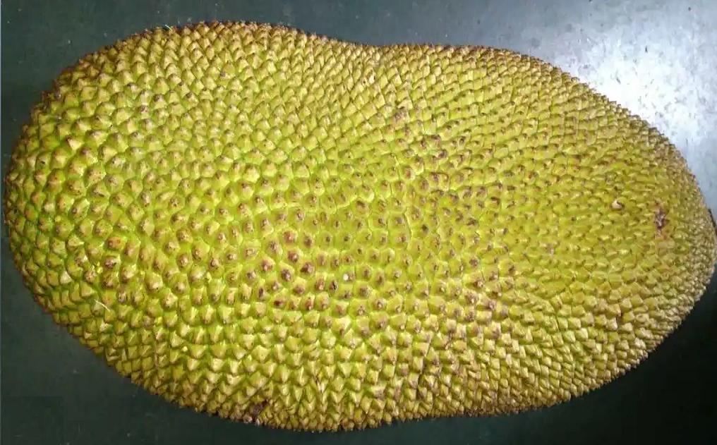 菠萝蜜粘手怎么吃,吃了菠萝蜜手粘粘的应该怎么洗掉