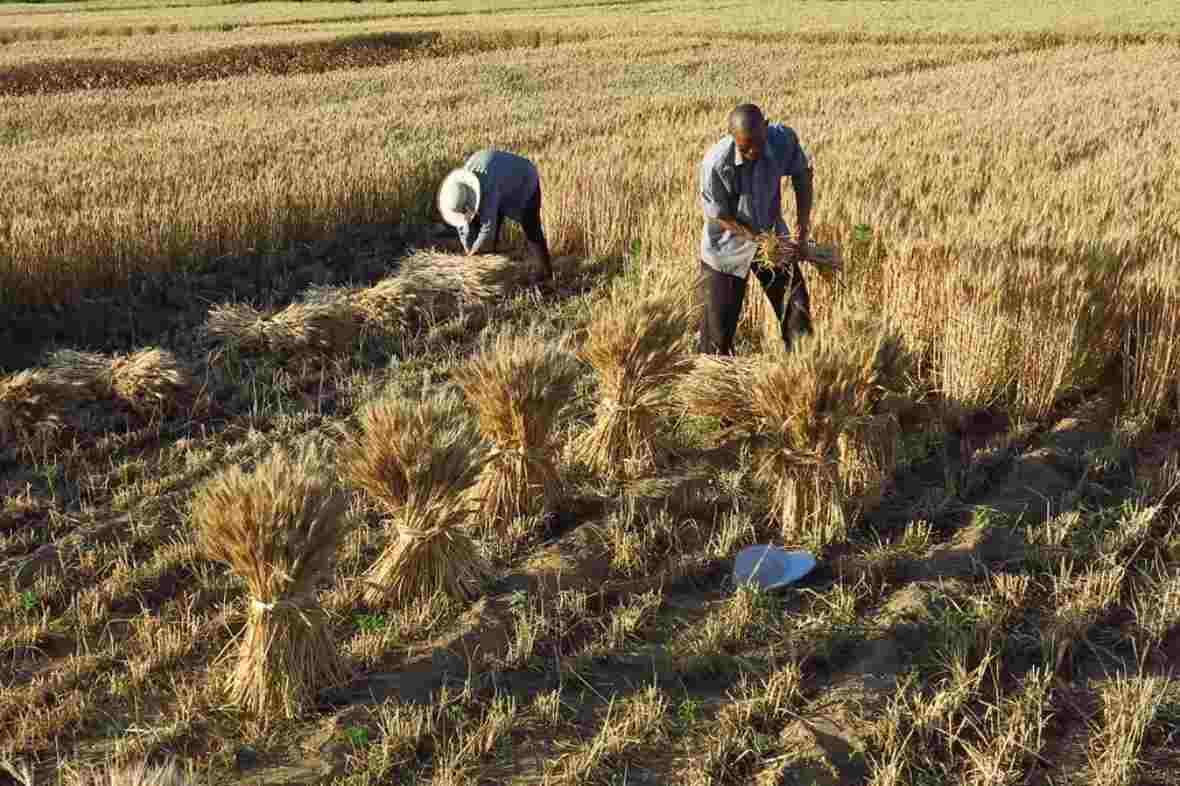 一个村庄的特殊记忆,一个小村庄里的记忆